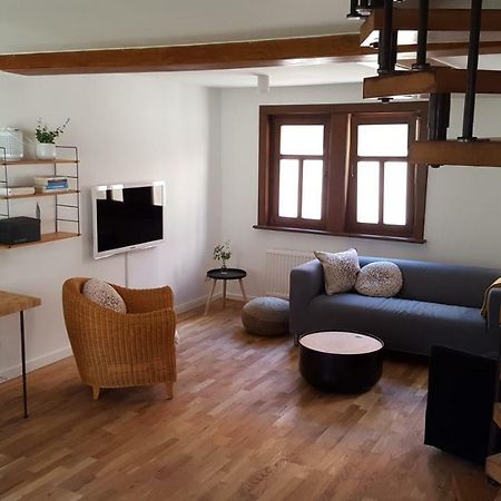 埃尔福特Haus Zum Wilden Manne别墅 外观 照片