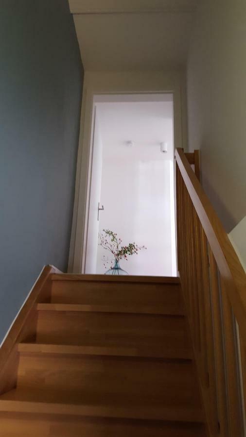 埃尔福特Haus Zum Wilden Manne别墅 外观 照片