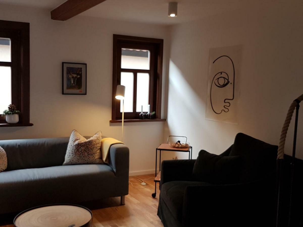 埃尔福特Haus Zum Wilden Manne别墅 外观 照片